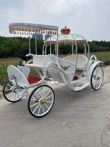 Carruaje tirado por caballos <span class=keywords><strong>de</strong></span> <span class=keywords><strong>princesa</strong></span> calabaza blanca <span class=keywords><strong>de</strong></span> lujo para festivales al aire libre Elegante entrenador real para eventos <span class=keywords><strong>de</strong></span> temática Retro - Product Image 4