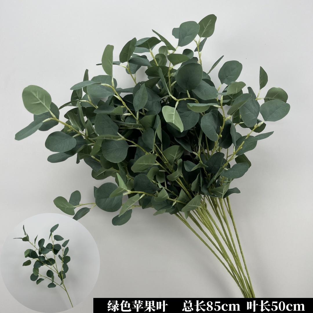 ใบแอปเปิ้ล