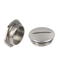 Bouchons en laiton nickelé personnalisables 1/4 3/8 3/4 pouce Embout de vis Capuchon PG M12 M32 M20 M25 IP68 Joint EPDM Presse-étoupe