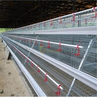 Cages de batterie de volaille automatiques en gros d'usine Cage de couche de poulet pour 2000 animaux de volaille