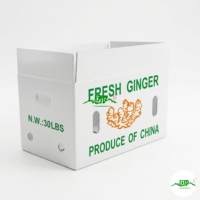 PP golfplaten holle platen golfplastic dozen voor verpakkingen van fruit en groenten in de landbouw