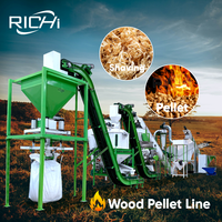 RICHI Machine automatique de fabrication de granulés de bois Personnalisée 1-2 t/h Aiguille de pin tendre Feuilles de palmier Ligne de granulés de bois