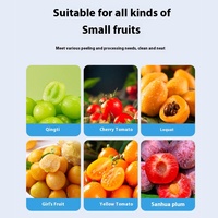 Automatische kleine fruit- en knoflookschilmachine voor huishoudelijk gebruik