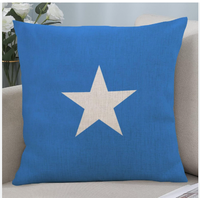 Taie d'oreiller drapeau somalien pour cheveux et peau corps taie d'oreiller taies d'oreiller ultra douces taie d'oreiller respirante