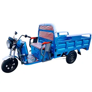 2024 중국 공장 저렴한 세발 자전거 세 바퀴화물 언덕 등반 핸들 유형 전기 트럭
