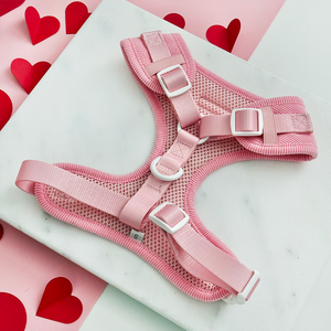 Arnés para Perros Bordado SinSky, <span class=keywords><strong>Collares</strong></span> y Correas de Diseño con Corazón, Conjunto Ajustable de Corduroy, Arnés Antitirones para Perros - Product Image 4