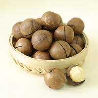 High-quality Shelled Australian Nuts, Food-grade Unprocessed OEM Production, Private Label, Grocery Retailers and Wholesalers