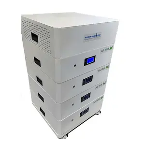 LiFePO4 Battery Cells Capacity 15Kwh 100Ah 6000 Cycle Energy Storage System Battery 51.2V High Performance Battery