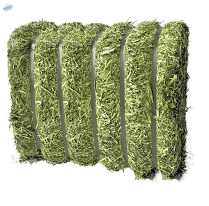 Excelentes pacas de alimentación de alfalfa en embalaje de calidad alimentaria para el bienestar animal Mejor exportador de alimentación animal - Product Image 4