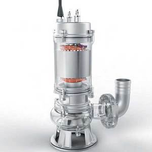 Bomba Sumergible Vertical de Acero Inoxidable 304 de Baja Potencia, Bomba Centrífuga Sumergible para Aguas Residuales - Product Image 5