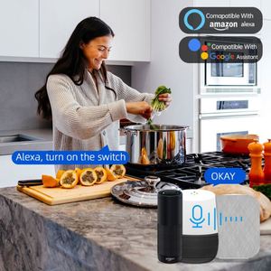Enchufe inteligente WiFi 10A, enchufe de la UE, temporizador de Control remoto, Monitor de alimentación, soporte de voz Alice, Google Home, Alexa Industrial - Product Image 6