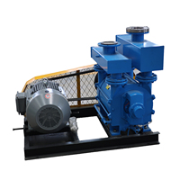 Pompe à vide à anneau liquide électrique horizontale haute pression personnalisable OEM série BOYUAN 2BE pour l'industrie papetière
