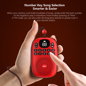 Xách tay FM Đài phát thanh gurbani Máy nghe nhạc MP3 với kỹ thuật số số lựa chọn USB-C sạc pin TF sạc cổng quran/bible Loa - Product Image 3