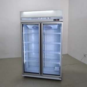 Frigorifero Commerciale a Due Porte con Temperatura Singola, Controllo Meccanico, Porta in Vetro, LED, Ripiani Regolabili, Refrigeratore per Bevande - Product Image 5