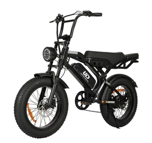 Brazil warehouse 20*4-inch tires 750W motor 48V15AH lithium battery hydraulic disc brake dual suspension <b>electric</b> mountain bike - Product Image 1