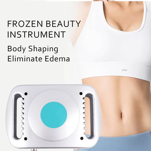 Dispositivo palmare portatile dimagrante portatile professionale con Design moderno AU US EU UK Plug opzioni per uso familiare - Product Image 6