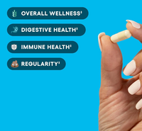 Capsules de Probiotiques Biologiques Personnalisées OEM/ODM pour Femmes Adultes - Complément Herbal pour le Soutien Digestif et Immunitaire des Femmes Enceintes (Marque Privée)