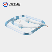 Lampe de séchage à tube chauffant en quartz à tête unique pour four, type spécial HOT CORE, 12-480V, taille personnalisable