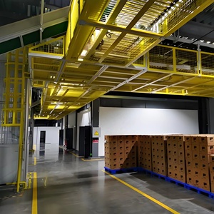 Línea de logística aérea de comercio electrónico: clasificación automatizada de paquetes para centros de distribución - Product Image 6