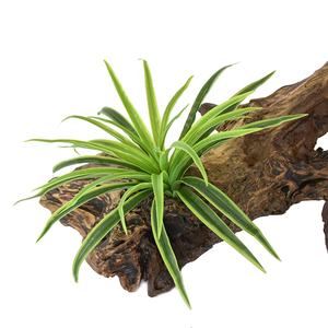 Piezas de bonsái chino, césped sintético, follaje de manojo Artificial para decoración de jardín - Product Image 1