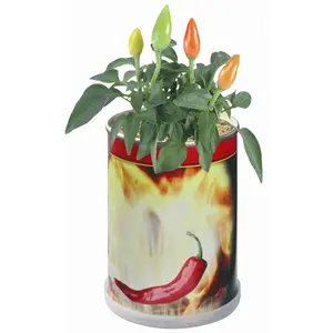 Lata con Semillas, Gadgets Ecológicos Personalizados - Product Image 2