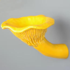 Decoración de Pared de Cerámica con Diseño de Casa de Hadas de Fantasía Personalizada, Estante Colgante con Forma de Hongo <span class=keywords><strong>Amanita</strong></span> Flotante - Product Image 4