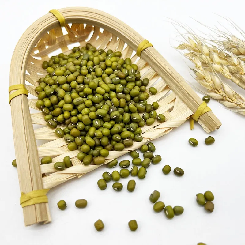 wholesale greate quality GREEN MUNG BEAN protein-full at competitive Price high premium grade green mung bean