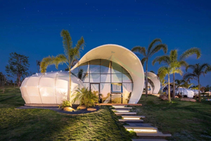 <span class=keywords><strong>Coquille</strong></span> de mer en PVC, imperméable, bijoux de luxe, <span class=keywords><strong>coquille</strong></span> urin de mer, offre spéciale - Product Image 2