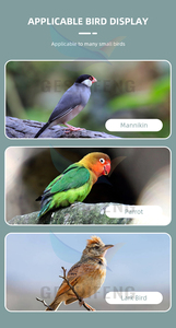 PP nhựa nhựa tình yêu chim giống Tổ Vẹt nghỉ ngơi chăn nuôi hộp - Product Image 5