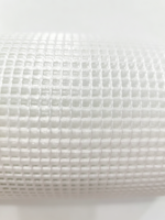 Rouleau de treillis en fibre de verre pour renforcement du stuc, 160 g/m², treillis anti-fissures pour plâtrage, enduit, EIFS, mur extérieur