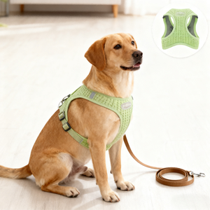 YG-898 Rompi <span class=keywords><strong>Harness</strong></span> Hewan Peliharaan Bergaya Kartun dengan Bantalan Empuk dan Kain Nilon Spons Waffle 4mm 360g - Product Image 3