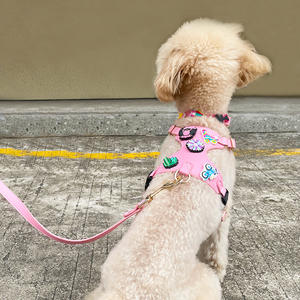 Set Harnesses & Tali Kekang Hewan Peliharaan Lucu Motif Kartun PU <span class=keywords><strong>DIY</strong></span>, Harnesses Vest Anjing yang Dapat Disesuaikan dan Bernapas untuk Anak Anjing, Kucing, dan Anjing, Set 3-Piece - Product Image 3