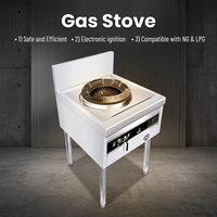 Cuisinière professionnelle multi-fonctions à gaz avec wok, moteur de soufflerie 120W, en acier inoxydable, cuisinière chinoise à allumage électronique double zone