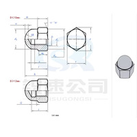 Écrous hexagonaux robustes avec capuchon de protection en forme de dôme pour filetage de boulons, acier inoxydable 304, kit de fixation décoratif