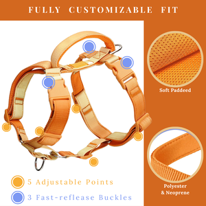 人間工学に基づいたマーチンゲール式ノープルハーネス 犬用 ソフトネオプレンパッドと高密度ナイロン製で一日中快適な着用感 - Product Image 3