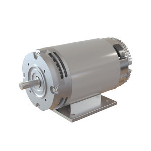 Motor de Corriente Continua Amer MP56 de 56 mm, Imán Permanente, Montaje con Brida, Tipo Escobilla - Product Image 2