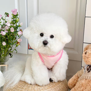 Ropa <span class=keywords><strong>de</strong></span> Primavera con Estilo Japonés y Coreano para Mascotas, Ropa para Perros y Gatos, Camiseta sin Mangas con Bordado <span class=keywords><strong>de</strong></span> Osito <span class=keywords><strong>de</strong></span> Peluche VIP - Product Image 4