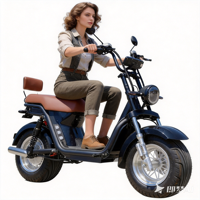 Bicicleta Eléctrica de Última Generación 2026, 1500W 60V, Batería de Gran Capacidad, Carga Rápida, Cuadro Ligero de Acero, Asistencia de 3 Velocidades, Motor Trasero Electrónico