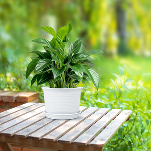 Macetas <span class=keywords><strong>de</strong></span> Plástico Ecológicas y Resistentes <span class=keywords><strong>de</strong></span> Gran Tamaño para Interiores y Balcones, Ideales para Pothos, Rosas y Suculentas - Product Image 6