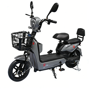 Vélo Électrique Tendance 2026 à Deux Roues pour Adulte – Prix Abordable et Rentable - Product Image 1