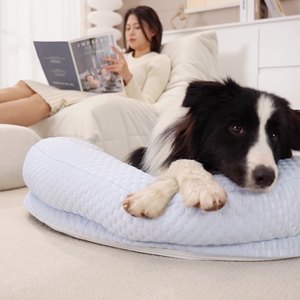 现代夏季猫狗凉床透气PP矩形宠物垫带枕头耐用冰垫毯 - Product Image 1