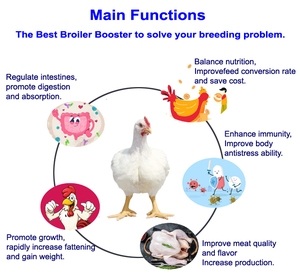 Multivitaminico vitamina A B C D E <span class=keywords><strong>K</strong></span> polvere premiscela integratore per l'aumento di peso per Booster da carne - Product Image 3