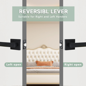 2025 thiết kế hiện đại hotselling đương đại vuông Giả đòn bẩy cửa xử lý không biến Matt đen tính năng chống thấm nước - Product Image 3