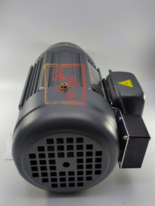 Moteur à aimants permanents à balais YUSIN 14HP 1400W GH18-20SB Certifié CCC Garantie de 3 ans - Product Image 2