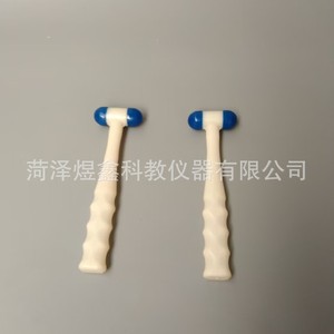 Marteau de percussion Yuxin Education 70g en ABS à noyau solide, instrument pédagogique pour l'enseignement de la biologie - Product Image 3