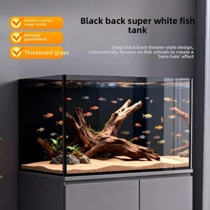 אקווריום זכוכית מלבני שקוף במיוחד בצבע שחור עם גב מוזהב, לגידול דגי זהב, דגי בטא וצמחייה, מתאים לשולחן עבודה בבית. - Product Image 3