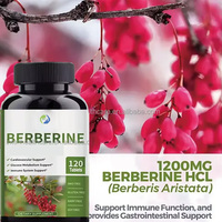 Ausreson OEM Comprimés de Berbérine HCl Curcuma Cannelle Berbérine de Ceylan Suppléments Métabolisme Comprimés de Berbérine