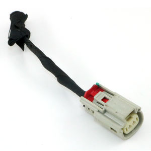 Yeni Trend Fan araba farı tutucu elektrik otomotiv ateşleme bobini OEM Stereo Honda için 2 Pin erkek konnektör motor kablo demeti - Product Image 4