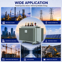 Transformateur de puissance immergé dans l'huile à enroulements en cuivre IEC 60076, 6 kV, 11 kV, 15 kV, 30 kV, 50 kVA, 200 kVA, 400 kVA, 500 kVA, 630 kVA, 800 kVA, 2500 kVA