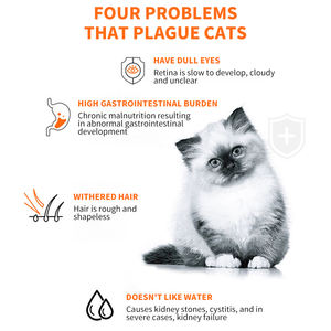 <span class=keywords><strong>Comida</strong></span> Húmeda <span class=keywords><strong>para</strong></span> Gatos en Bolsitas <span class=keywords><strong>de</strong></span> 15g, Alta en Proteínas, 3 Sabores, Golosinas y Snacks <span class=keywords><strong>para</strong></span> <span class=keywords><strong>Gatitos</strong></span>, Venta al por Mayor <span class=keywords><strong>de</strong></span> Fábrica - Product Image 4